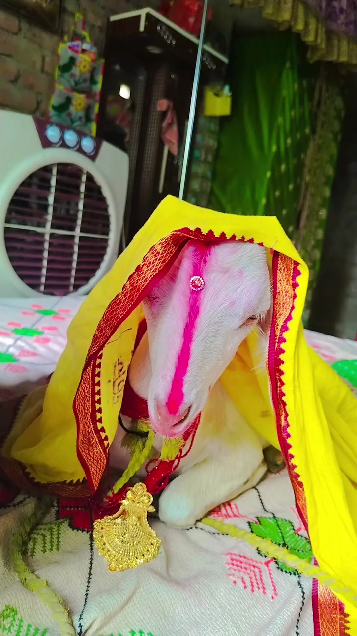 @Ashok kr Yadav