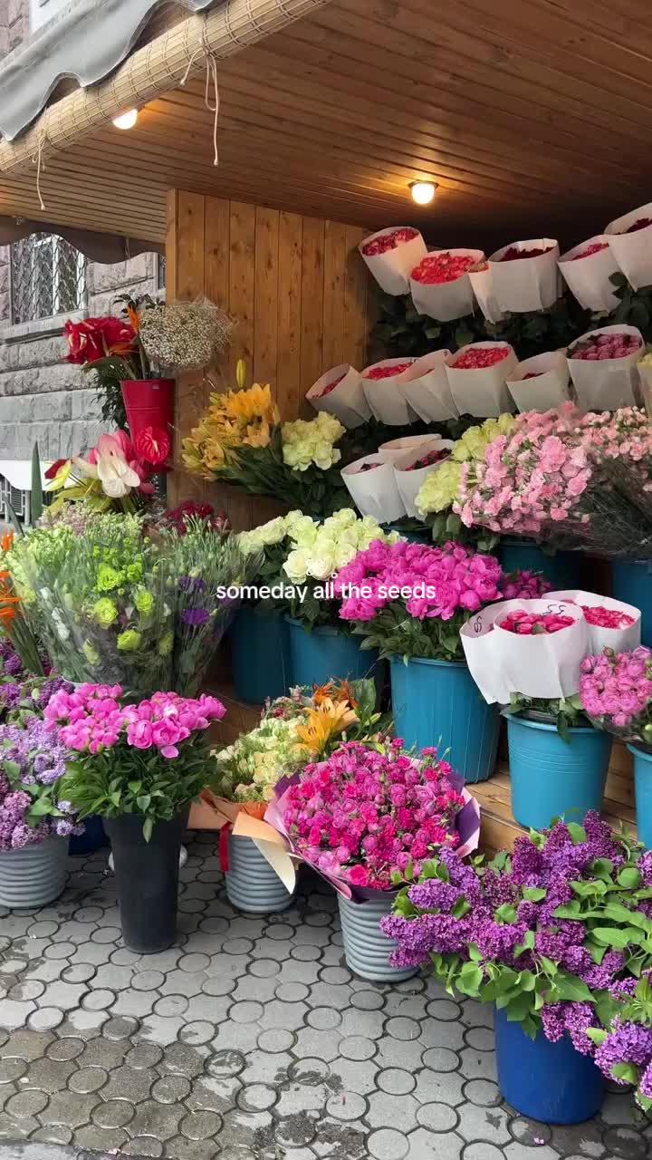 @everglow ✨