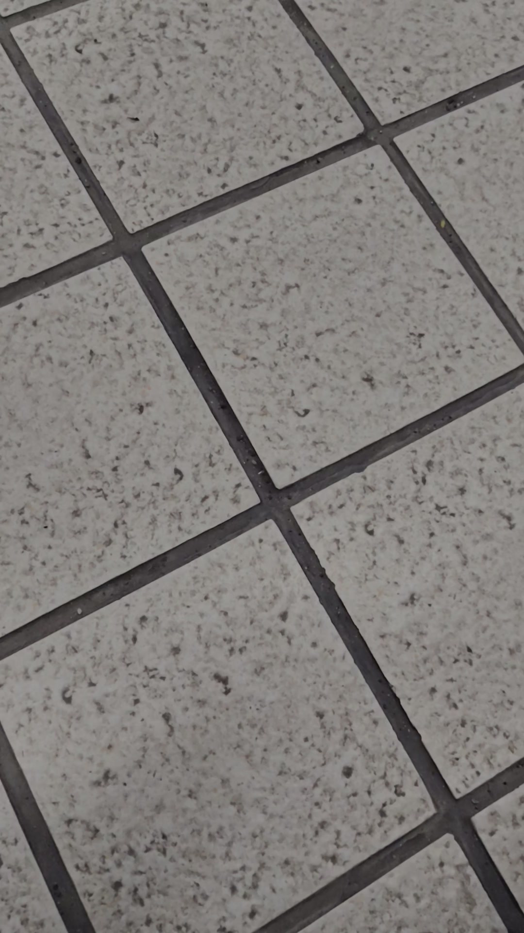 @シルバーリアクトの人