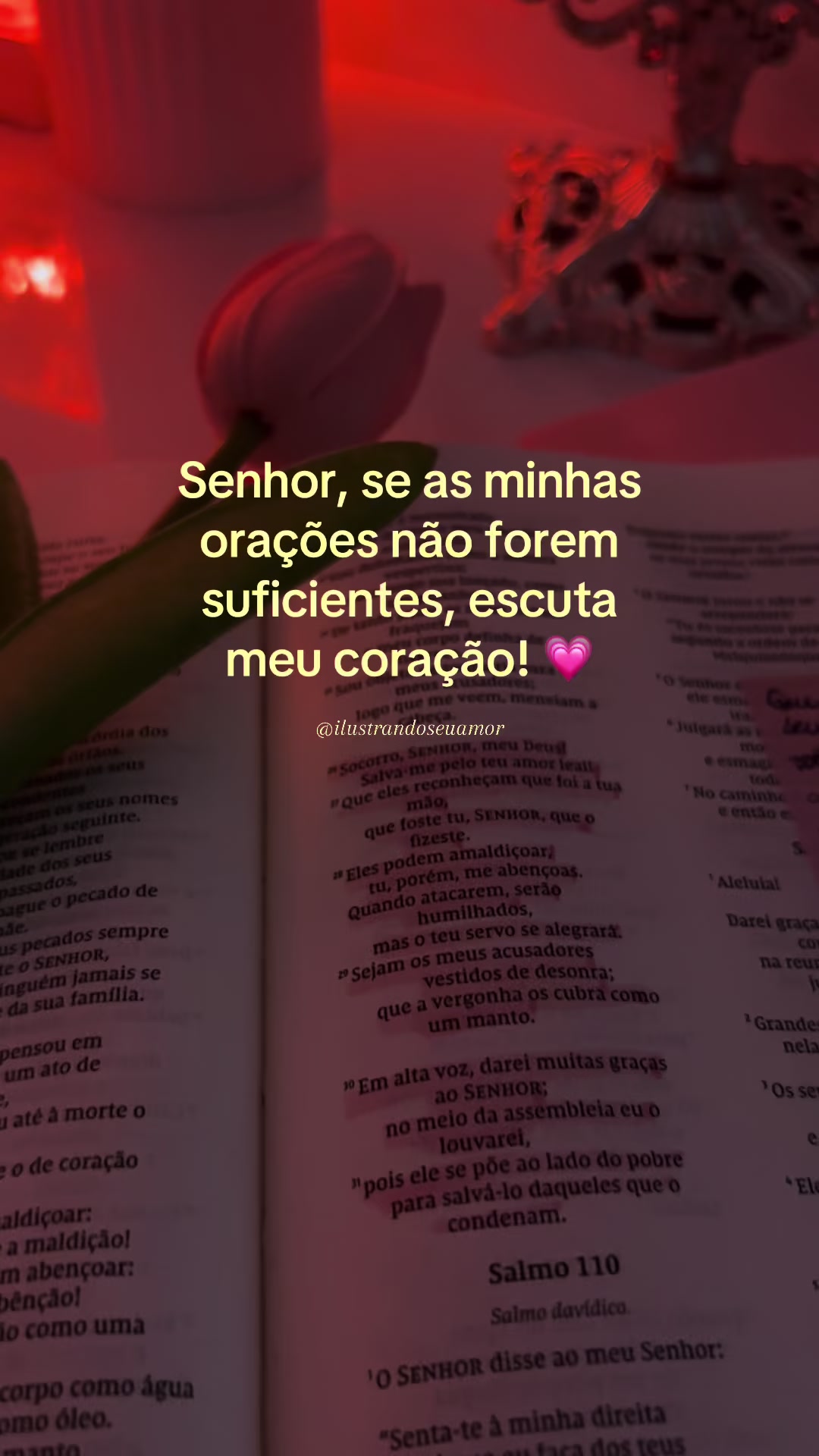 @Ilustrando Seu Amor