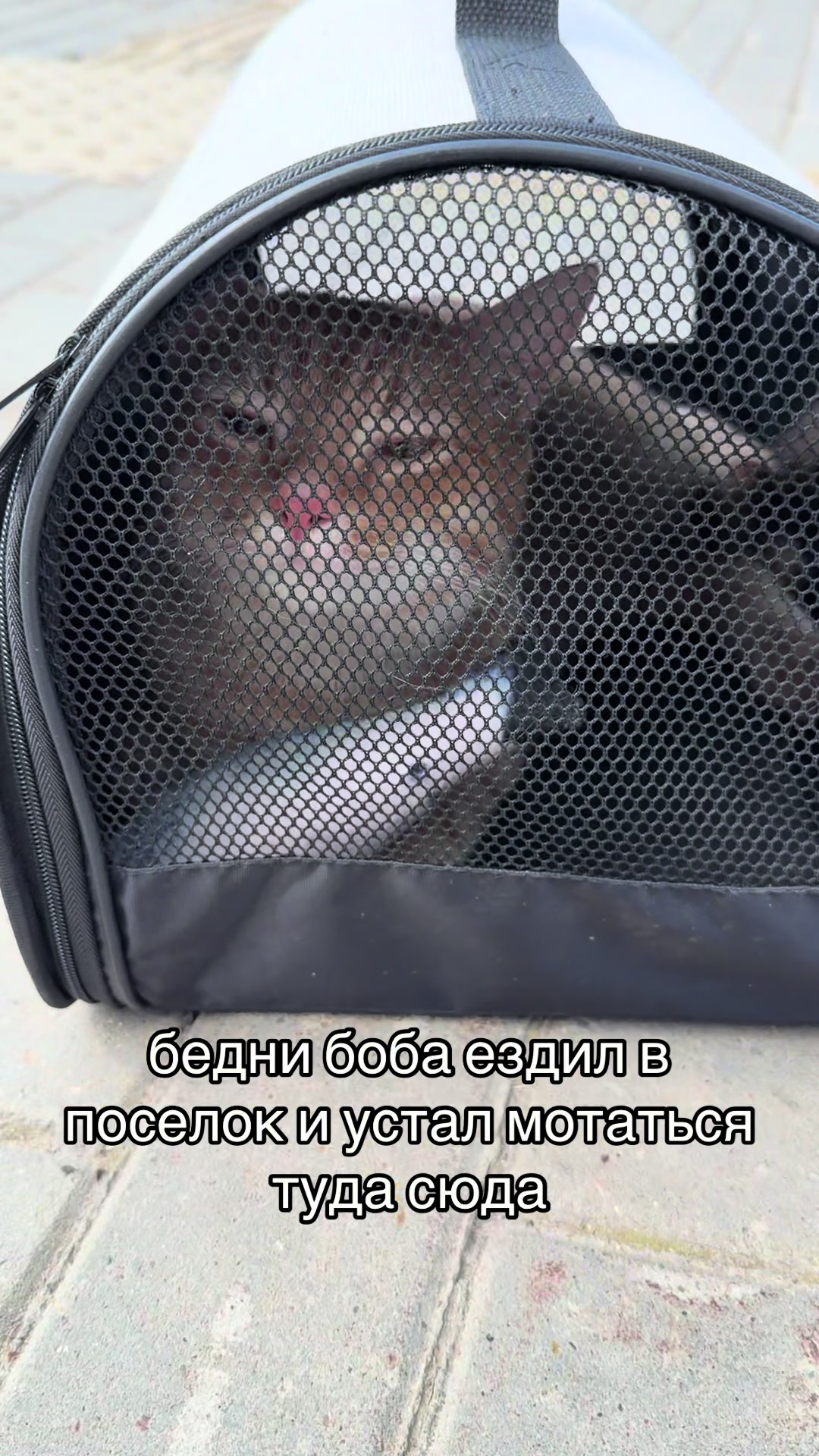 @кастрюля