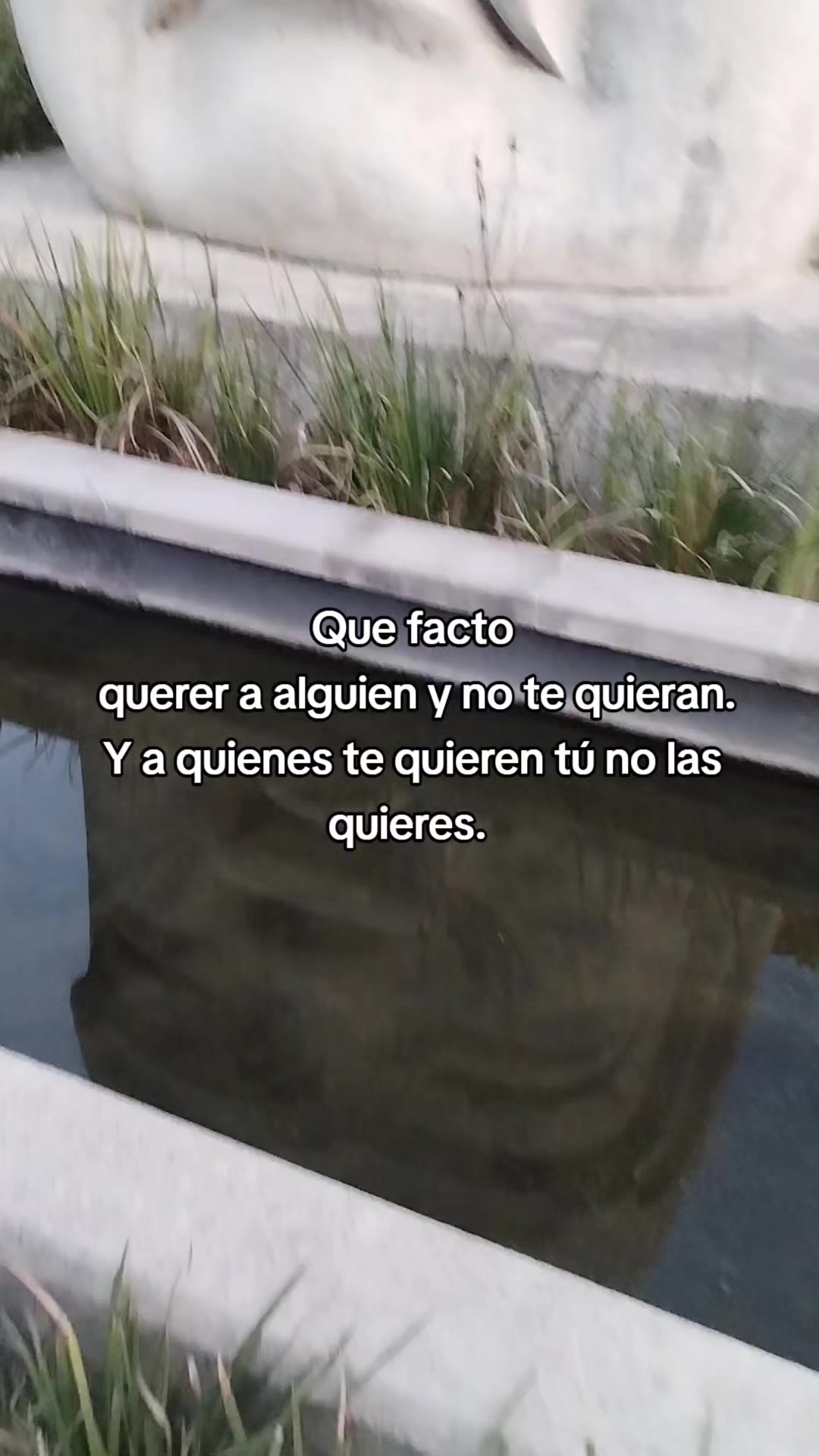 @😎 🔥El negro 💣 👹