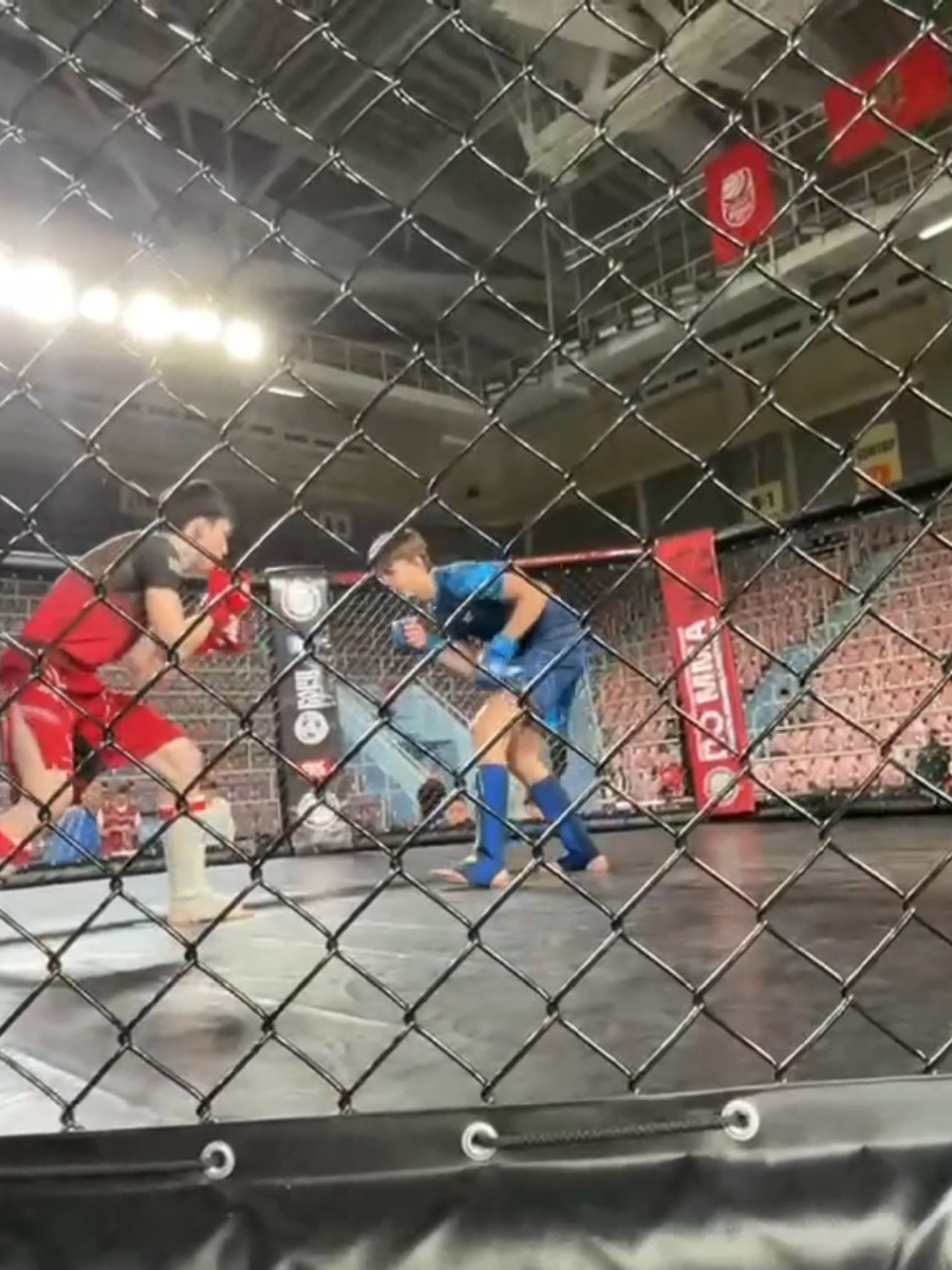 @🥊🤼