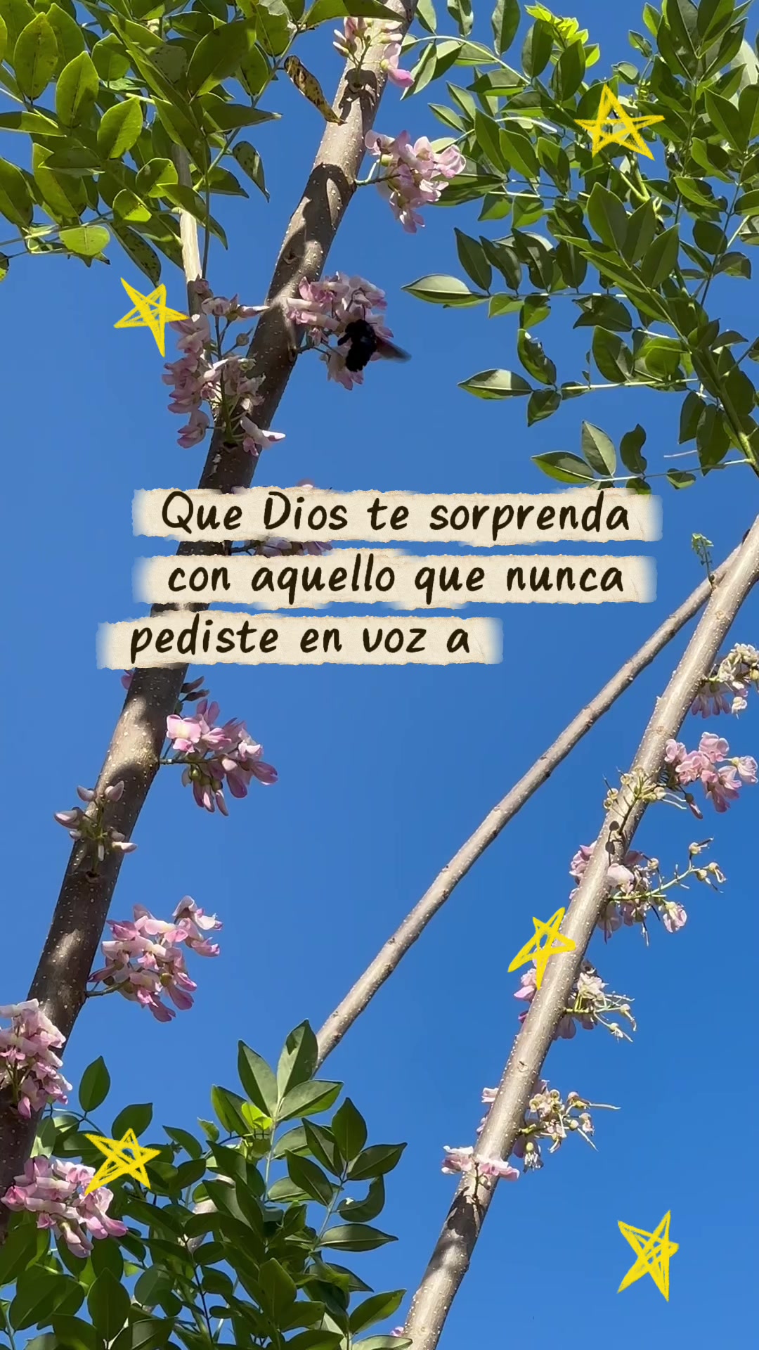 @M. G. S.💃🏼🪐💫🌸