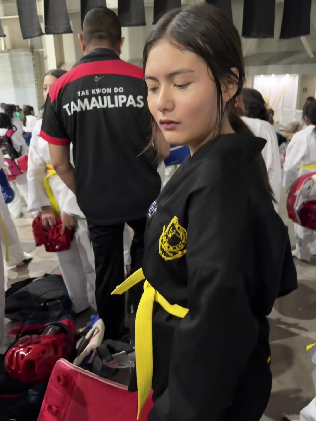 @taekwondolionsteam