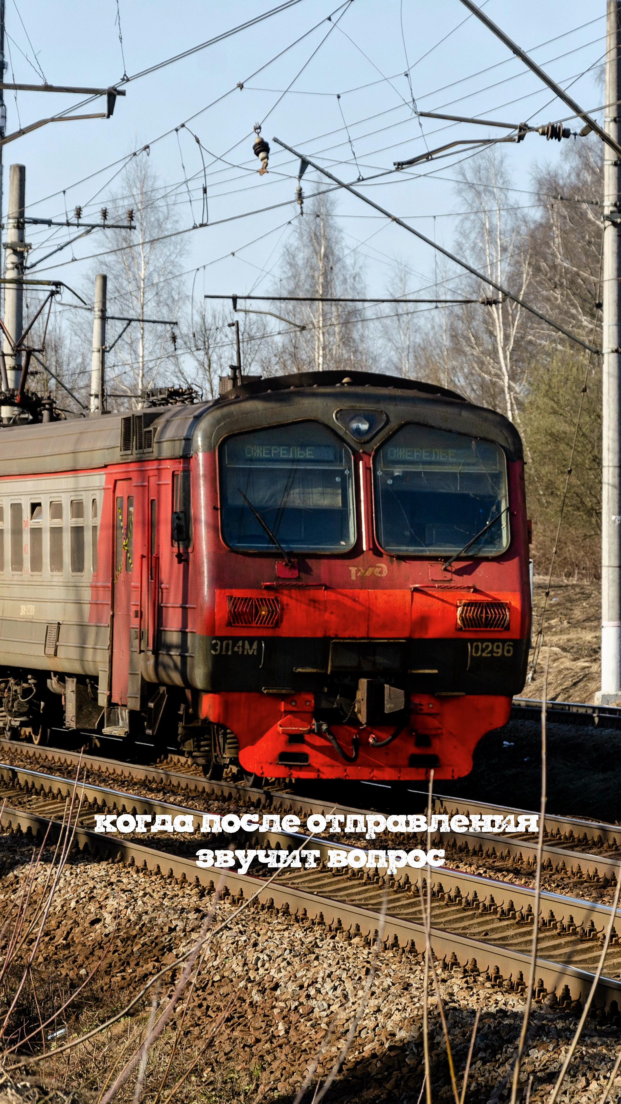 @VOROBEY2019