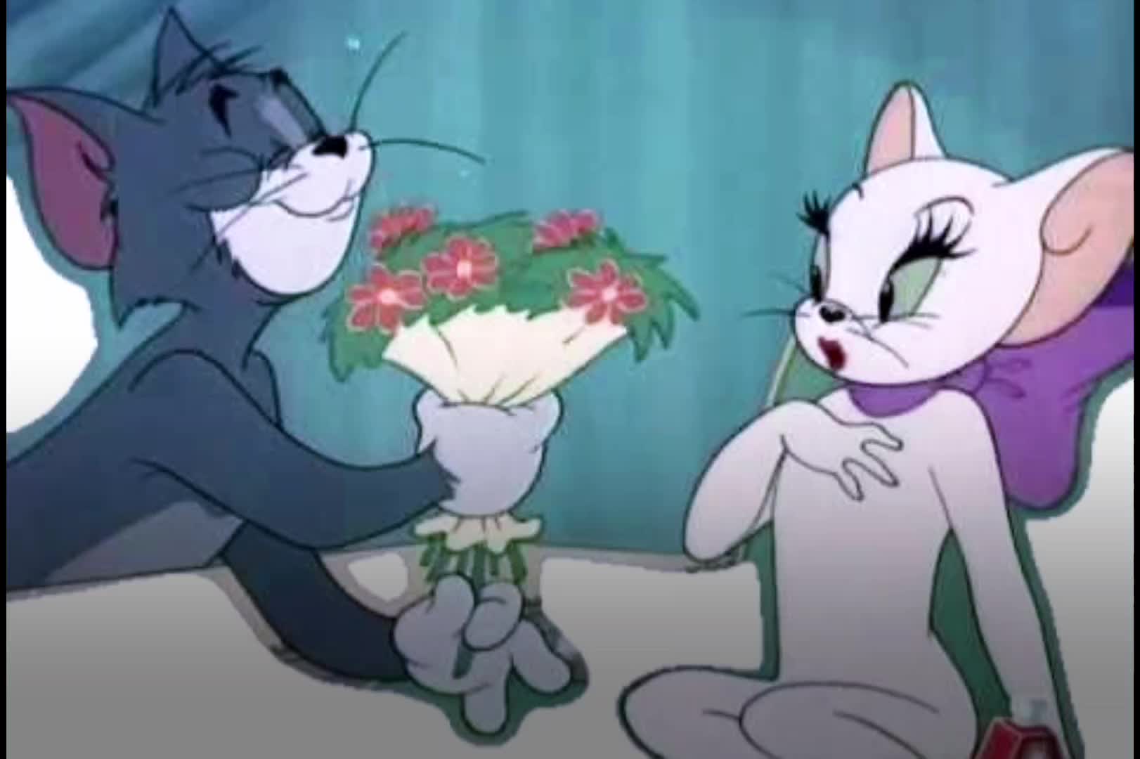 @๐ท๐๐๐๐๐ก๐๐๐