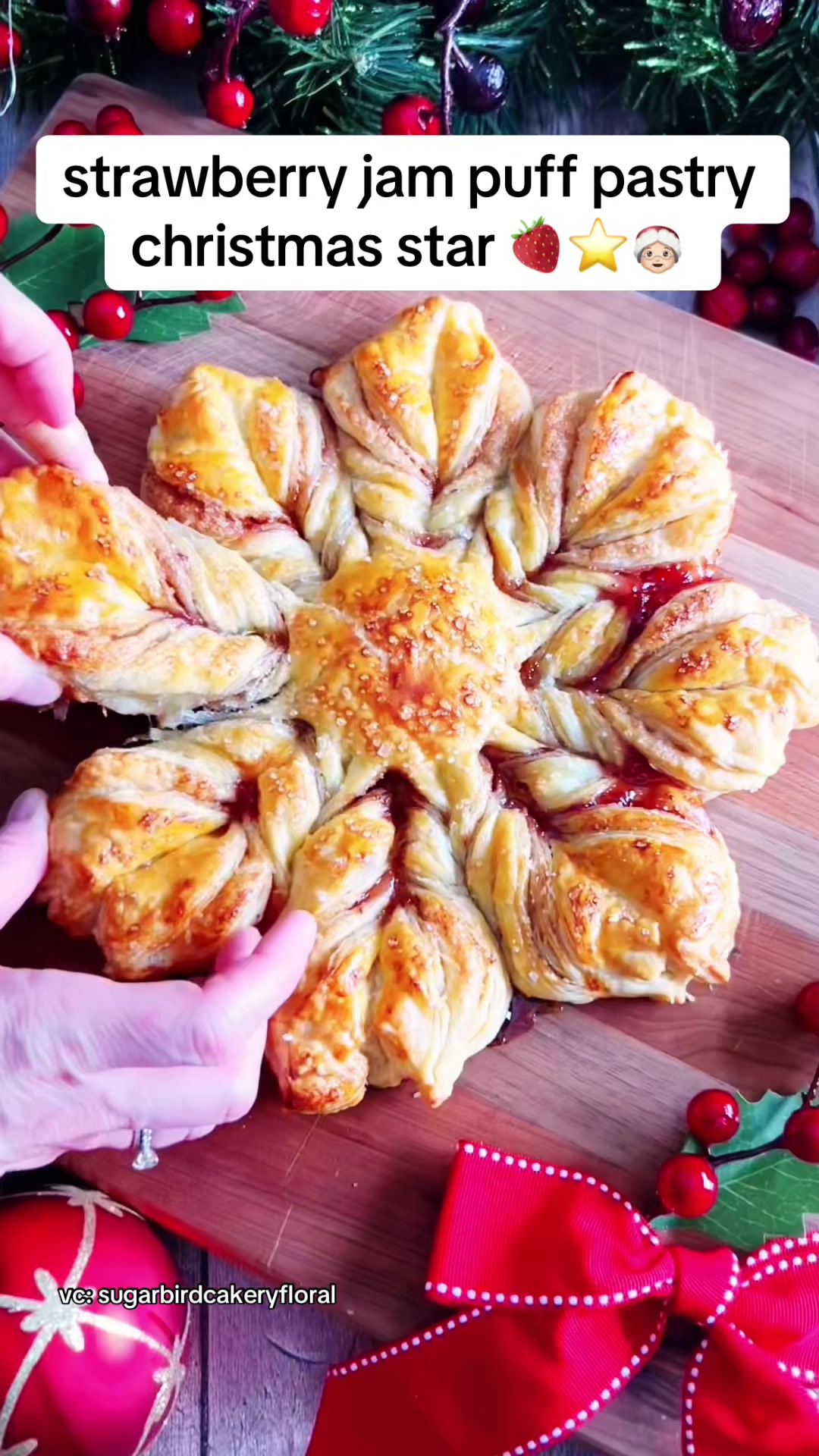 @The TikTok Cook Book