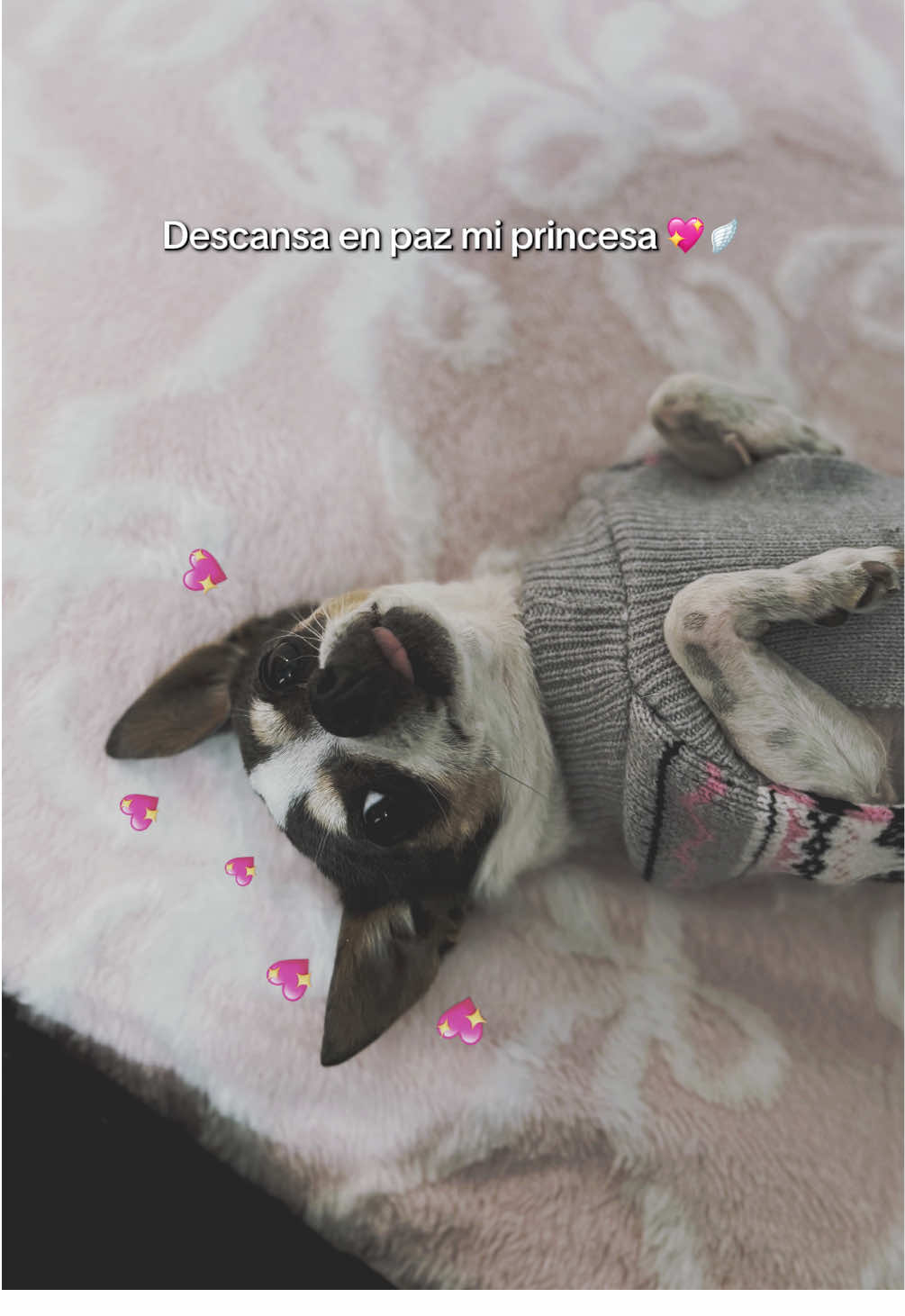 @Blanca Camargo