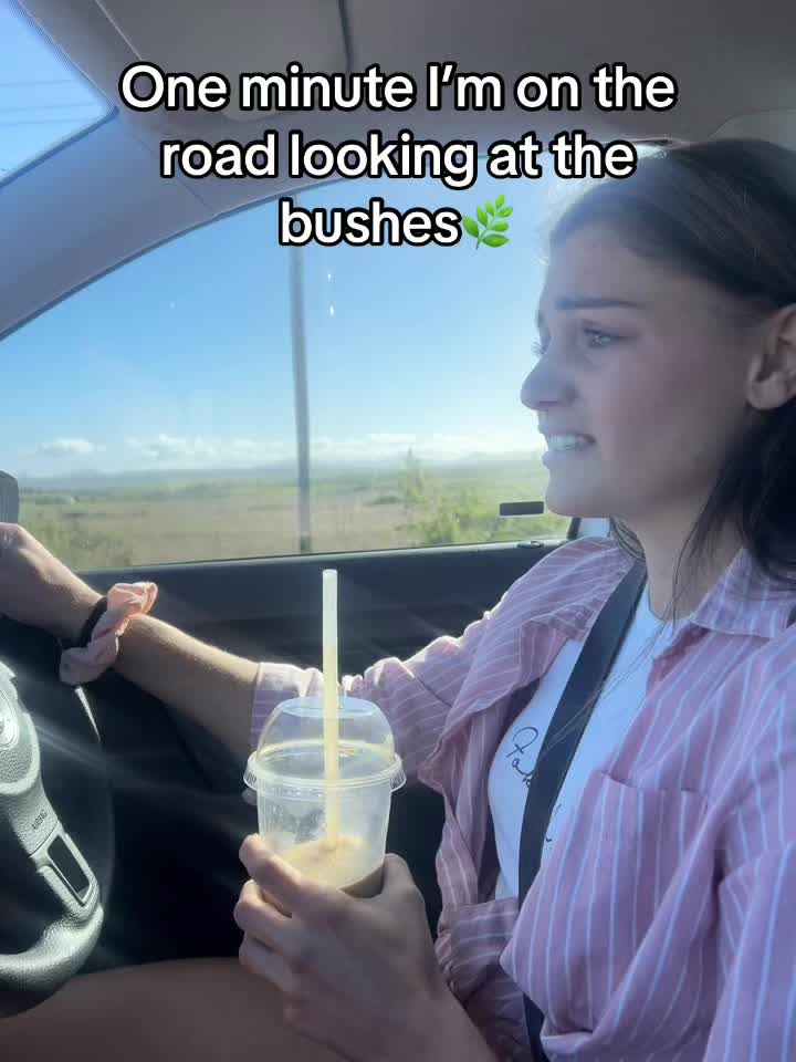 @dwsporty