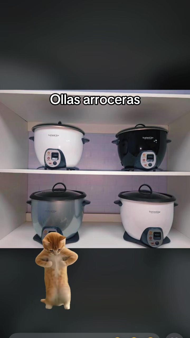 @CIS👷♂️