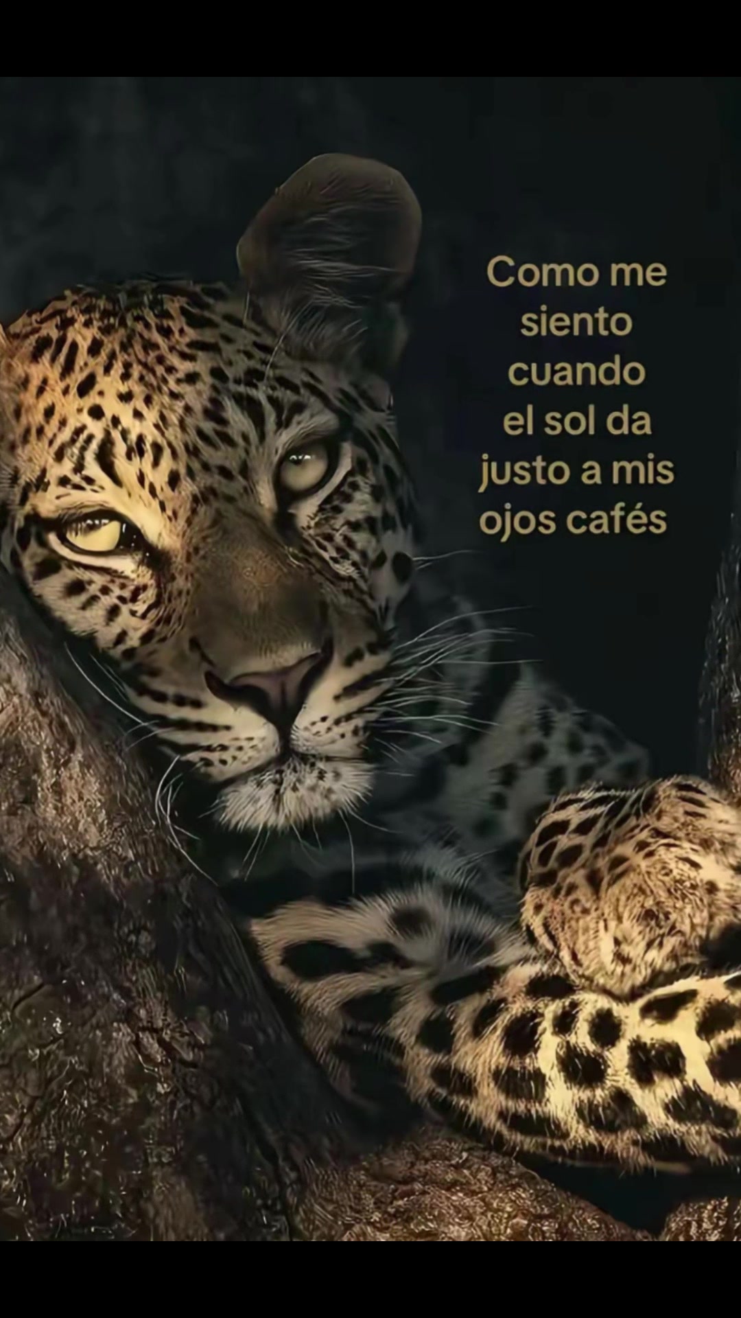 @Wendysr🌺