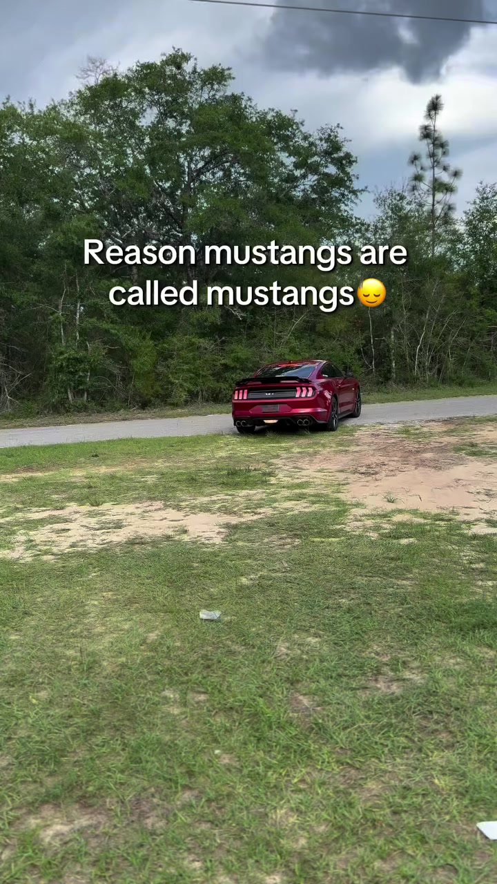 @FordWithDJ