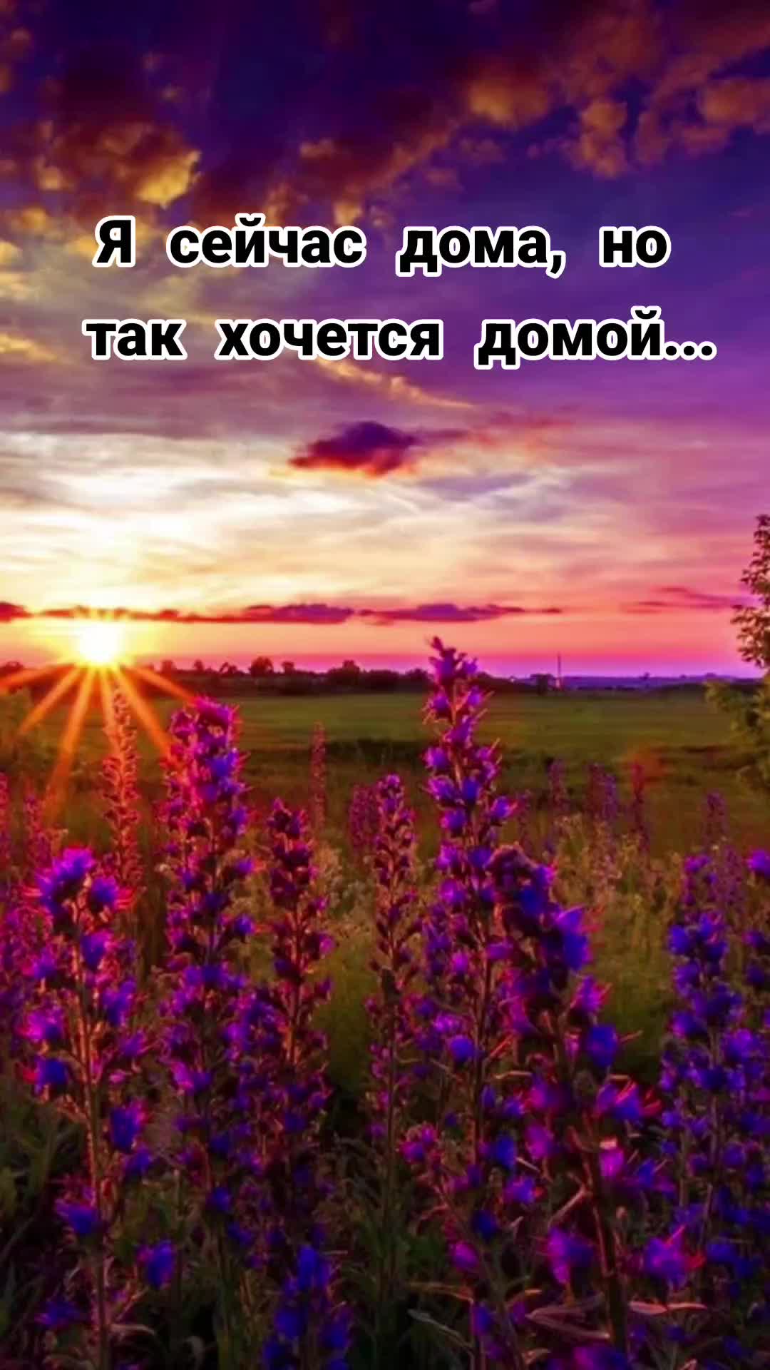 @Ane4ka71