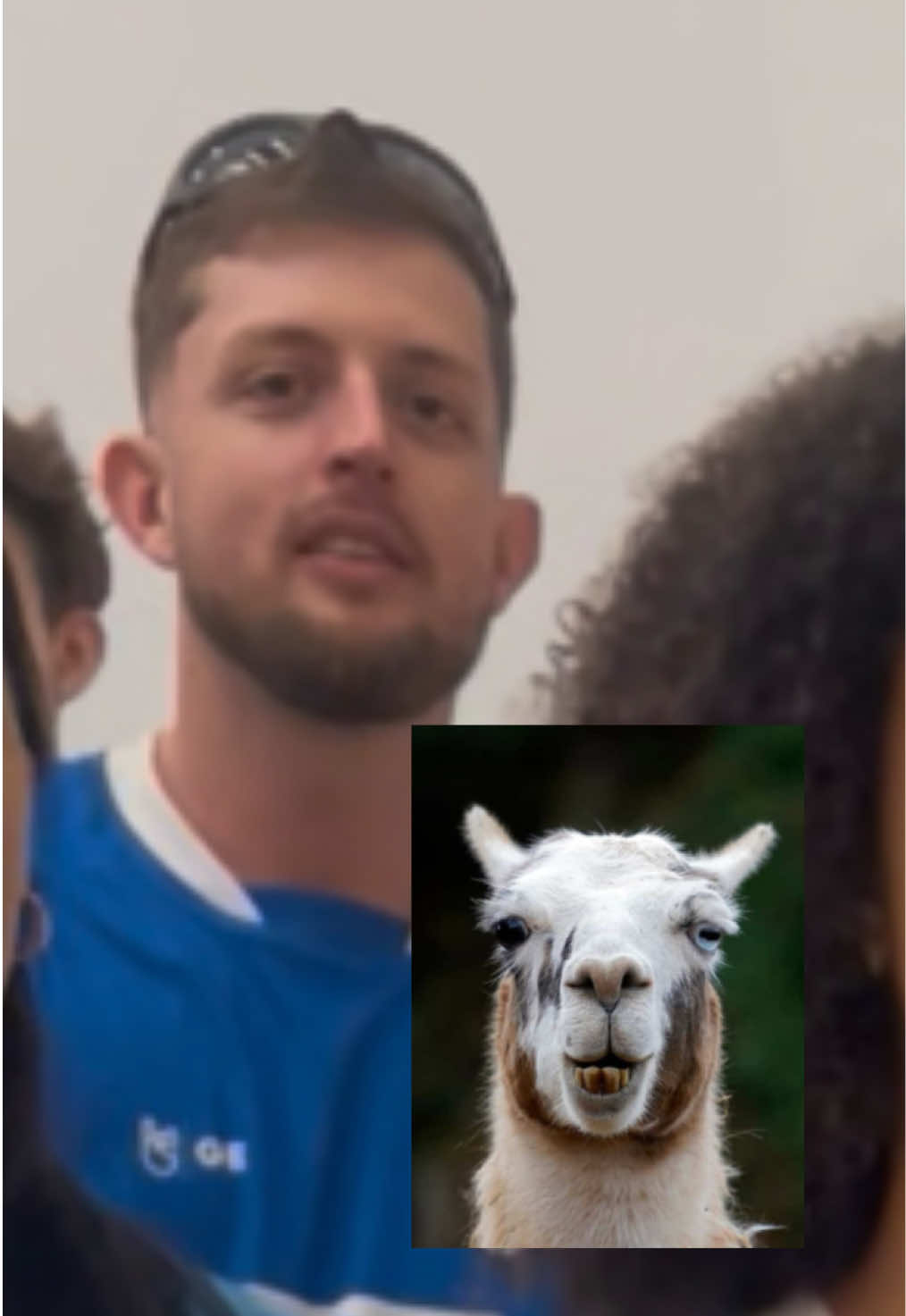 @Gui Alemão25