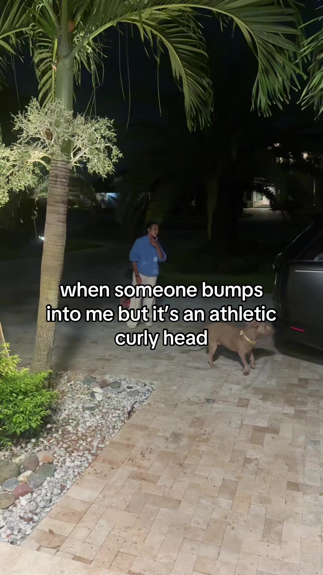 @c a l i s a d è