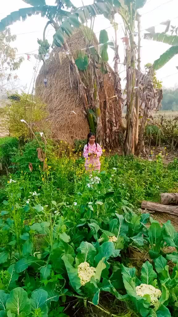 @Luhardil