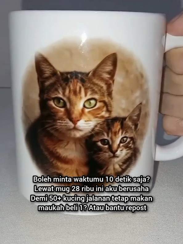 @Kucing Rumah Ronal