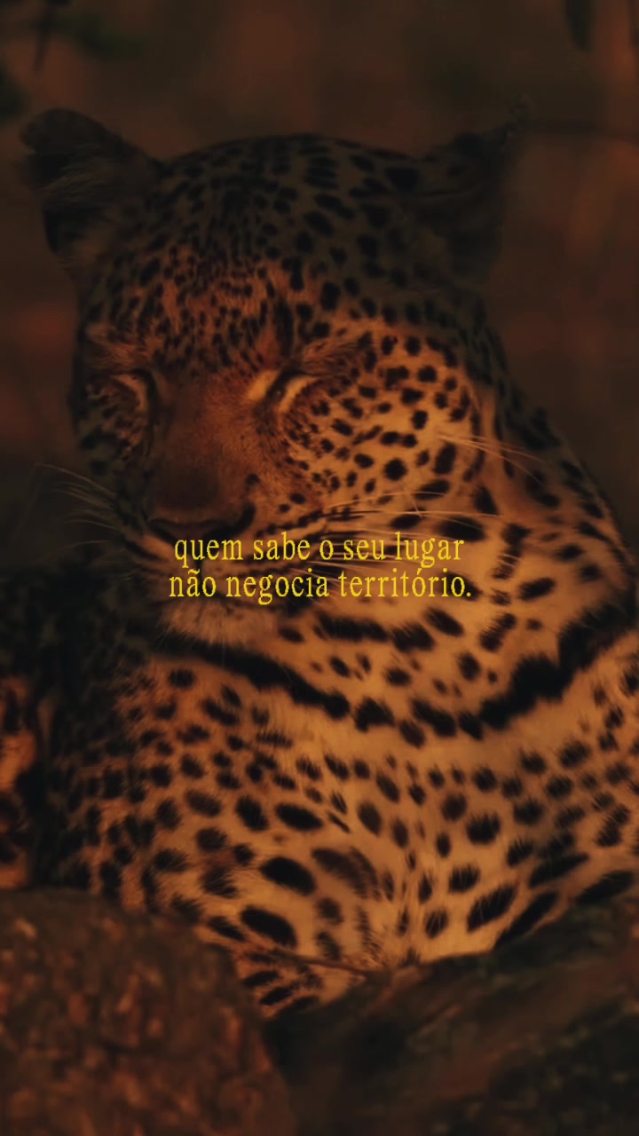 @Cauane Dias