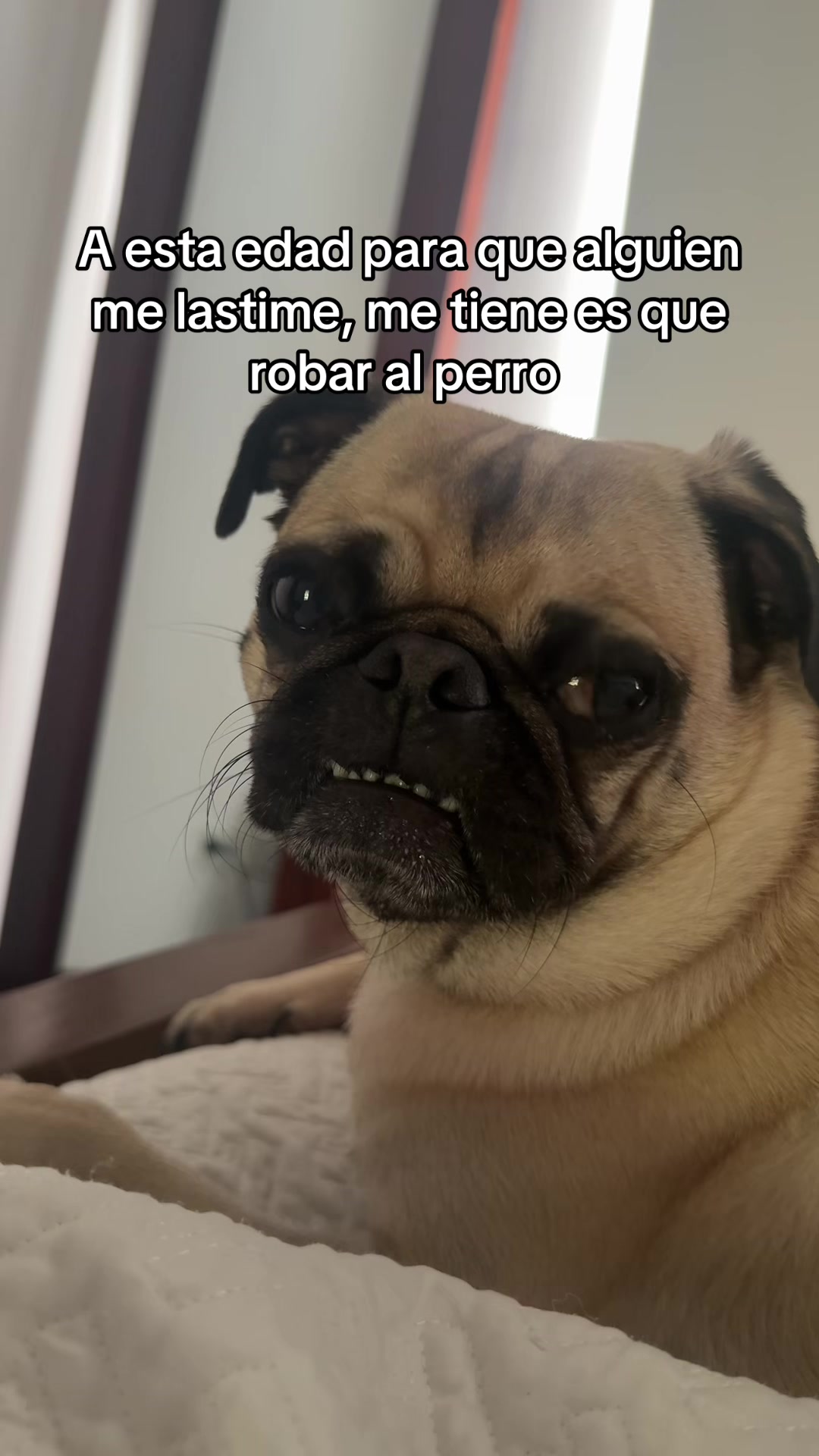 @Alexa&elcarnalchiss