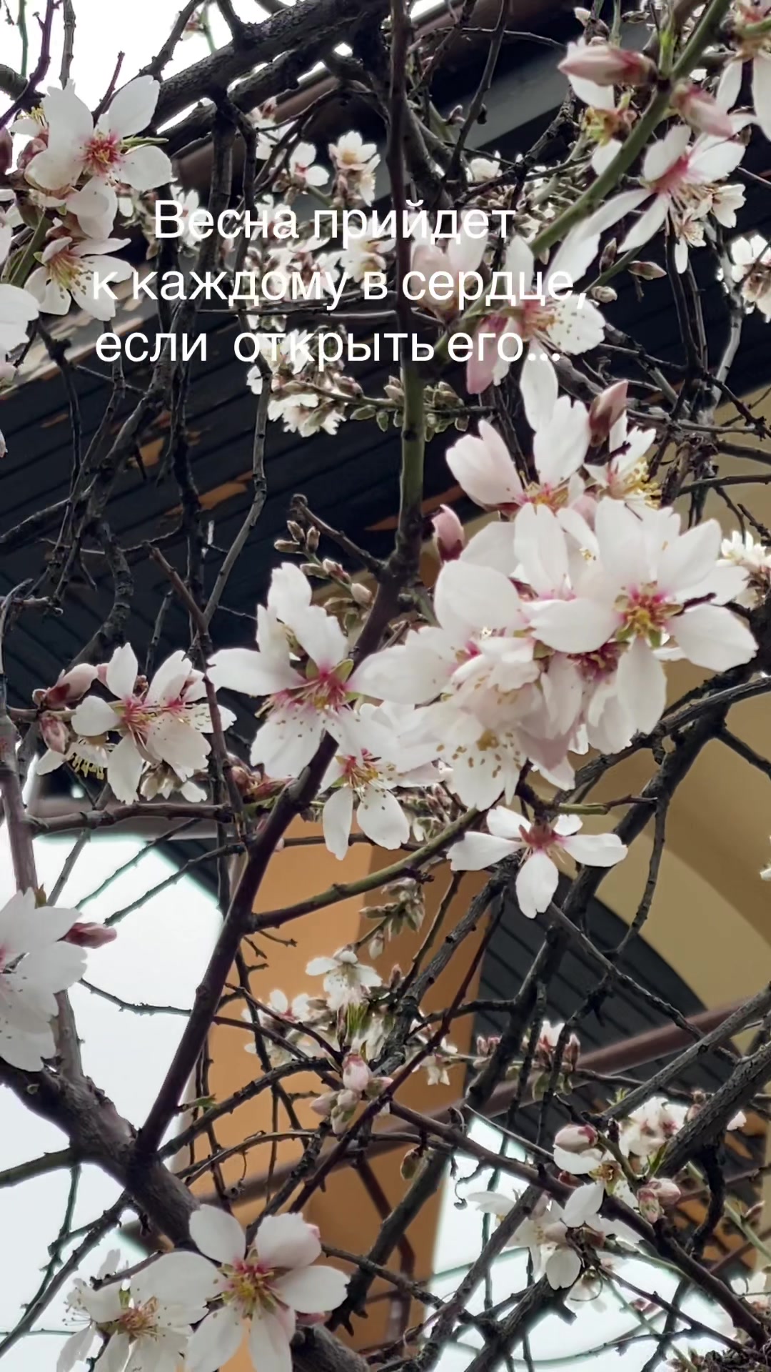 @Елена Полещук