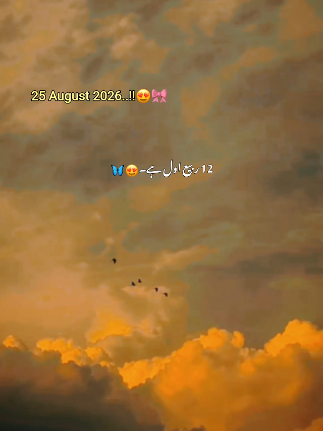 @⍥⃝🦋𝘼𝙌𝙀𝙀𝙇🤝𝐐𝐚𝐬𝐢𝐦&reg;&trade;🧸