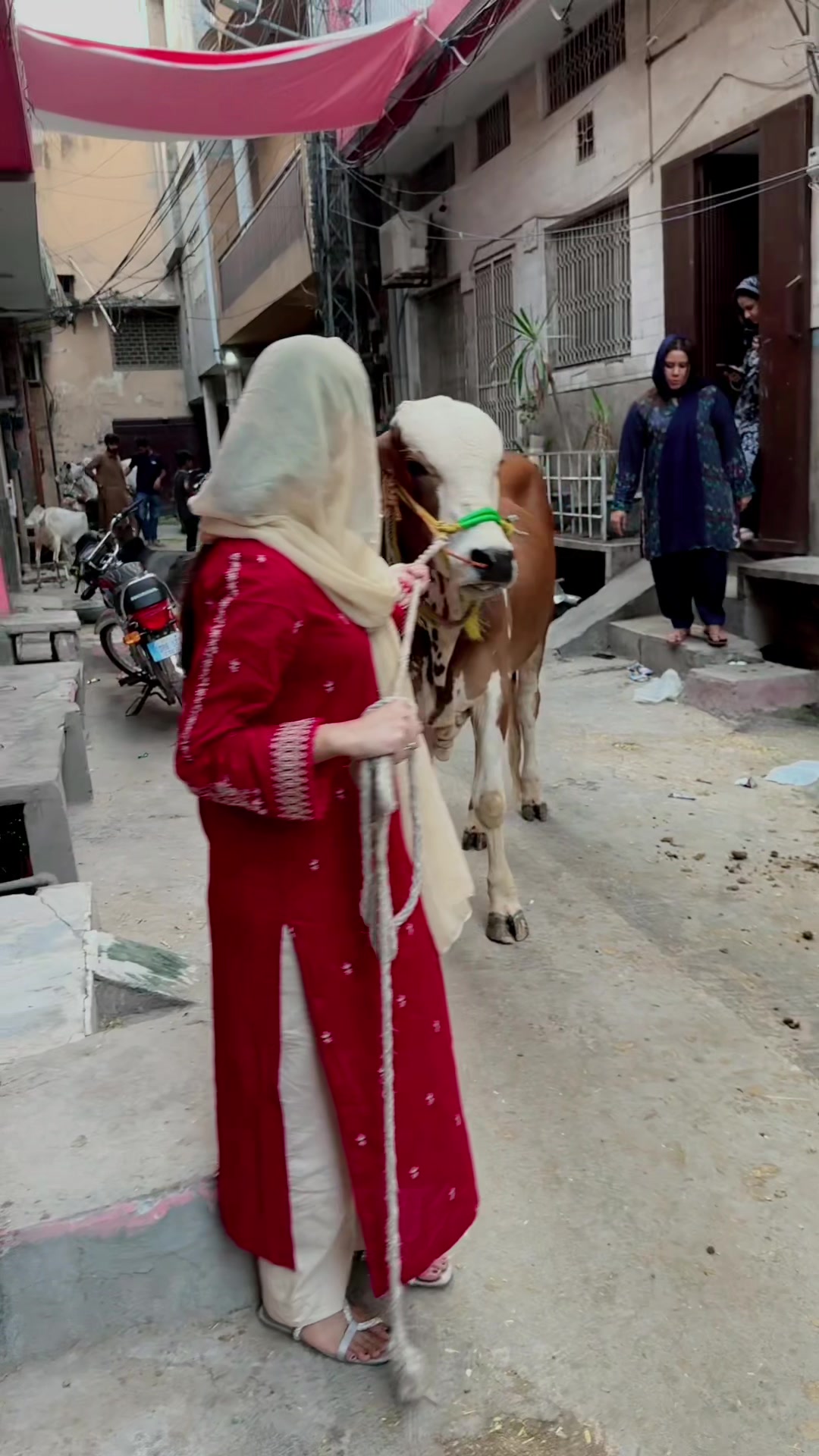 @Bismakanwal❤️