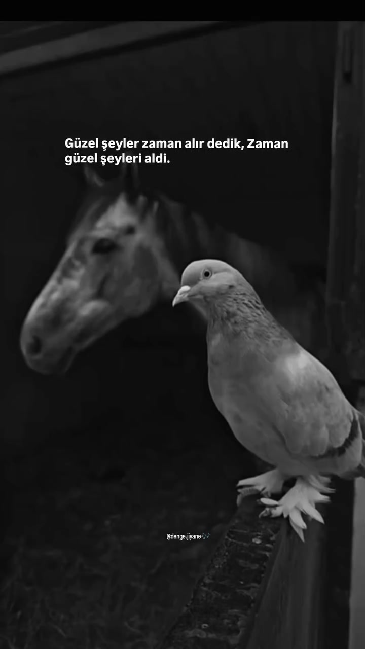 @Reyhan &ccedil;aKır🥀