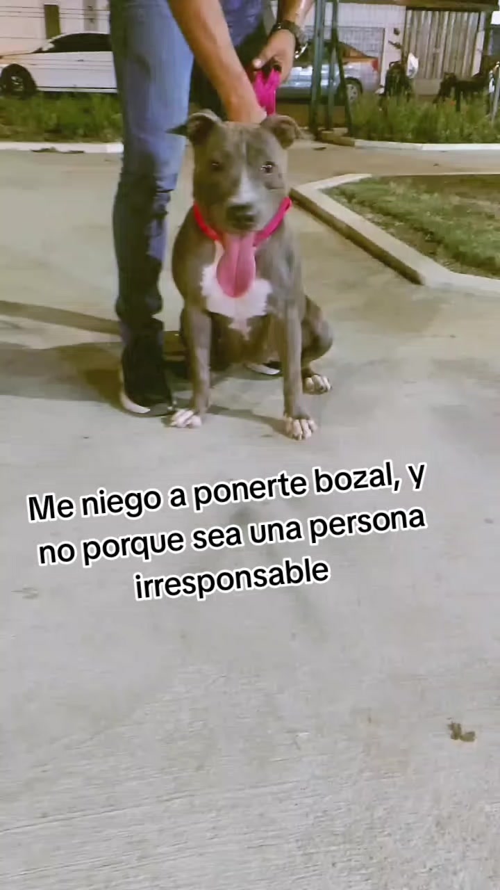 @💋ARODASI🩷