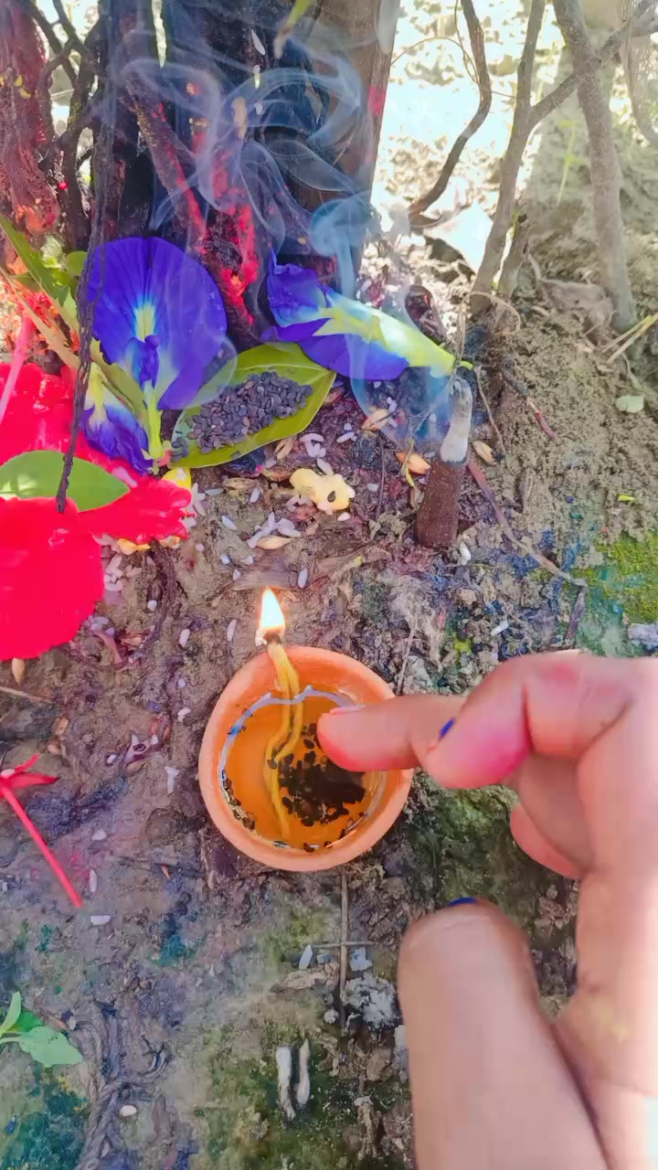 @SharbanSunitaRoyYadav861🤞❣