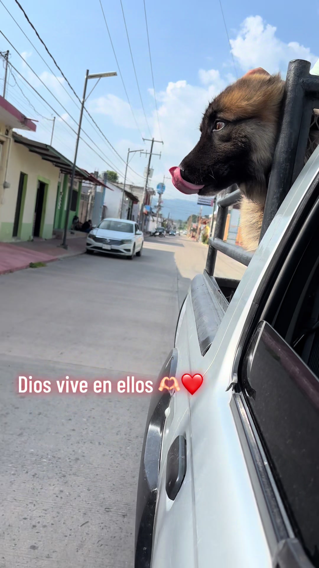 @Blanca Chavez
