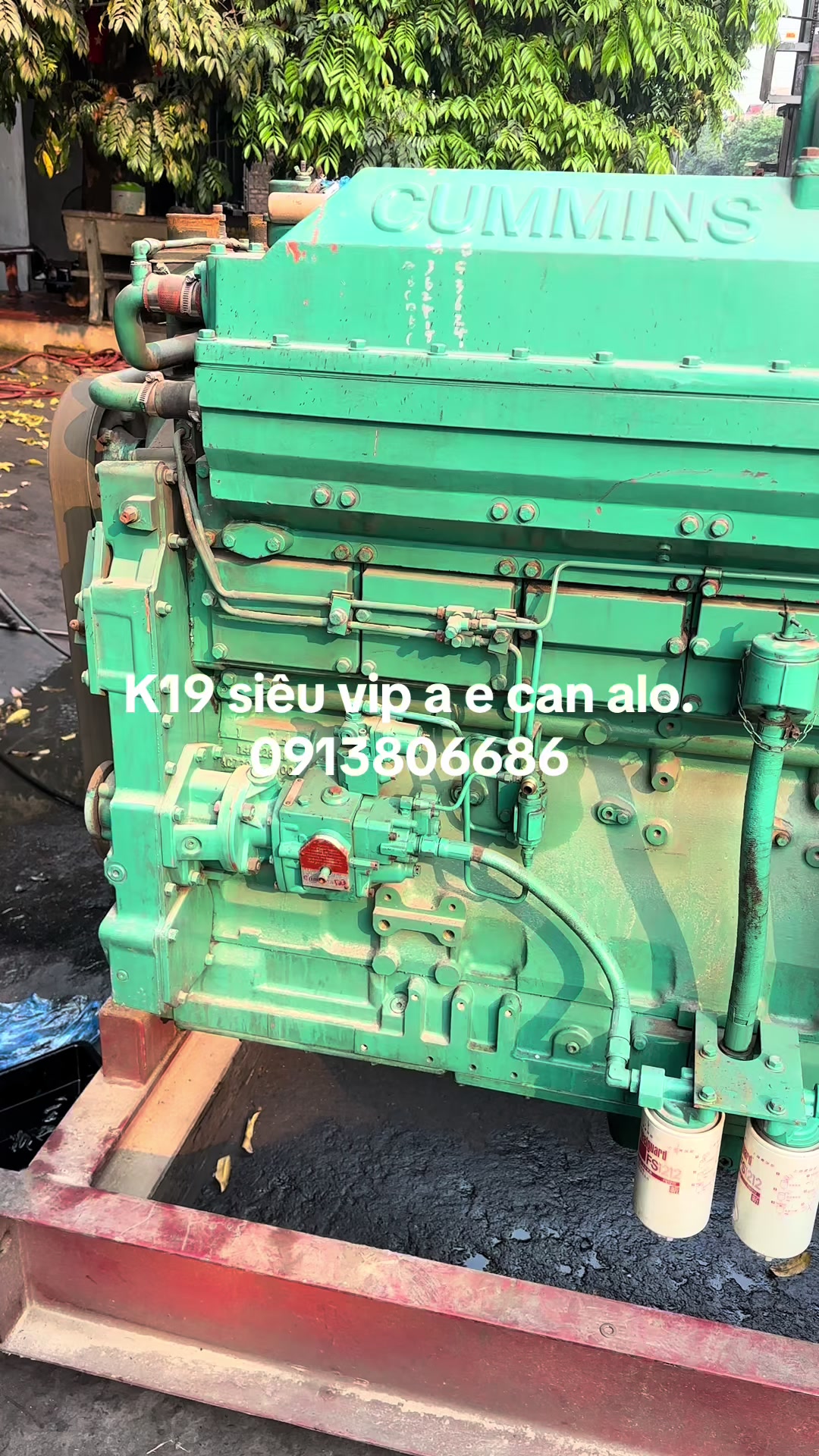 @Mạnh Cummins
