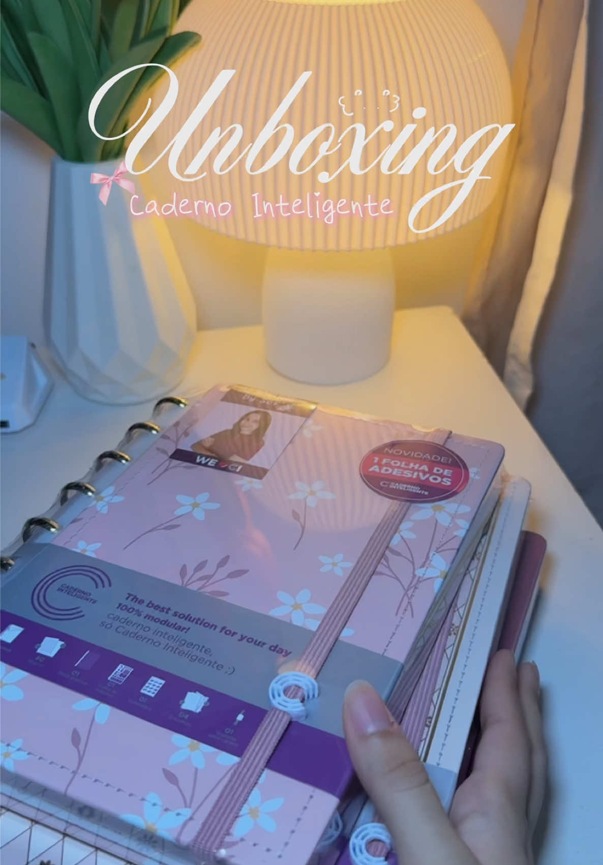 @vick ♡🍨˚⊹