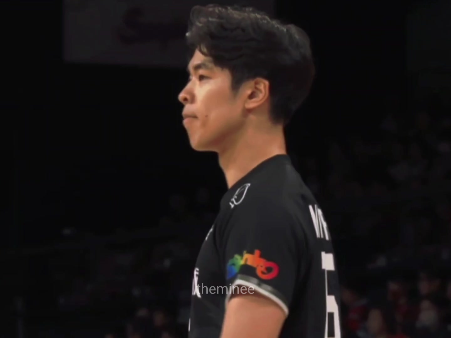 @theminevb