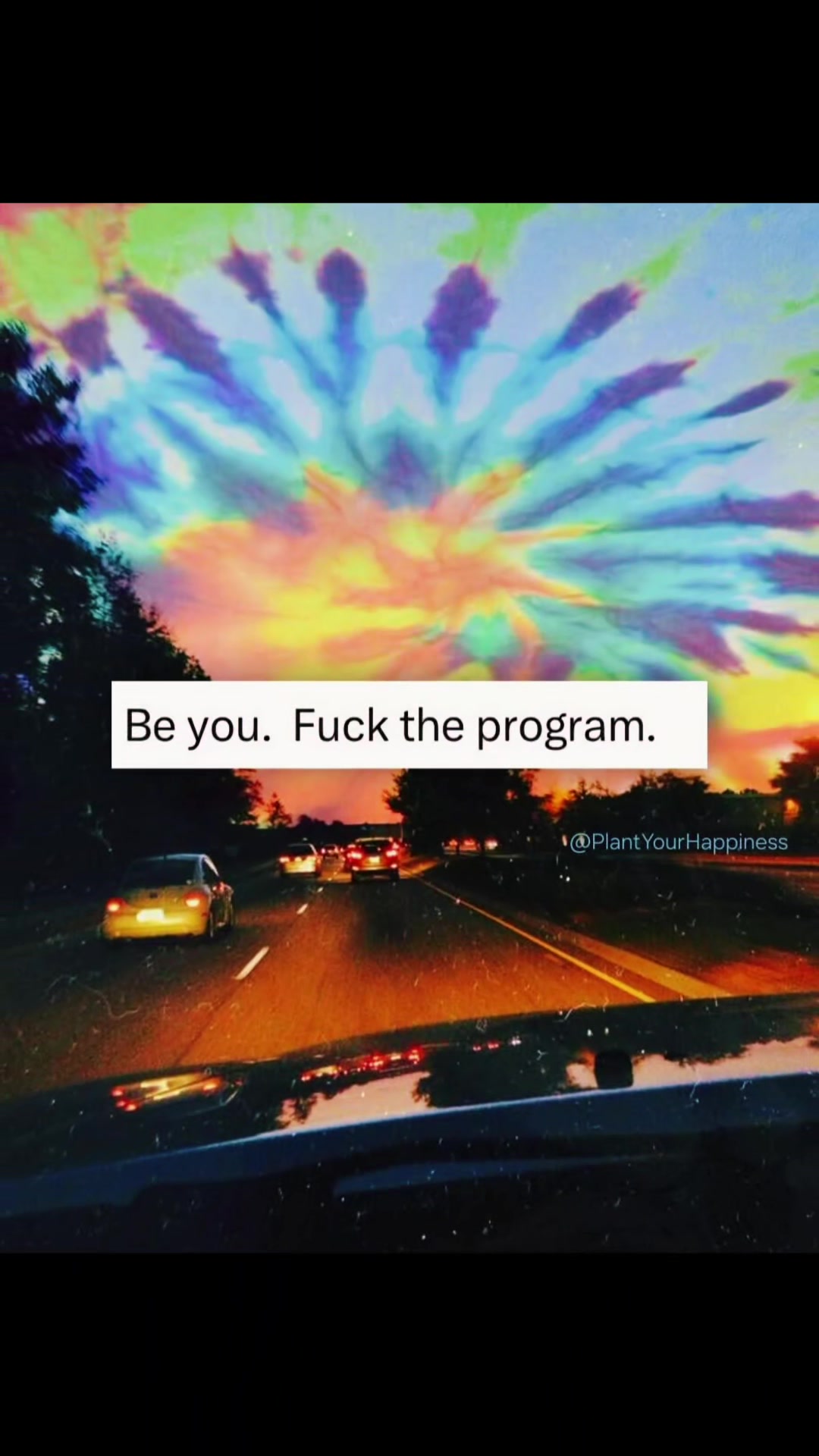 @Freya Moon 🌙