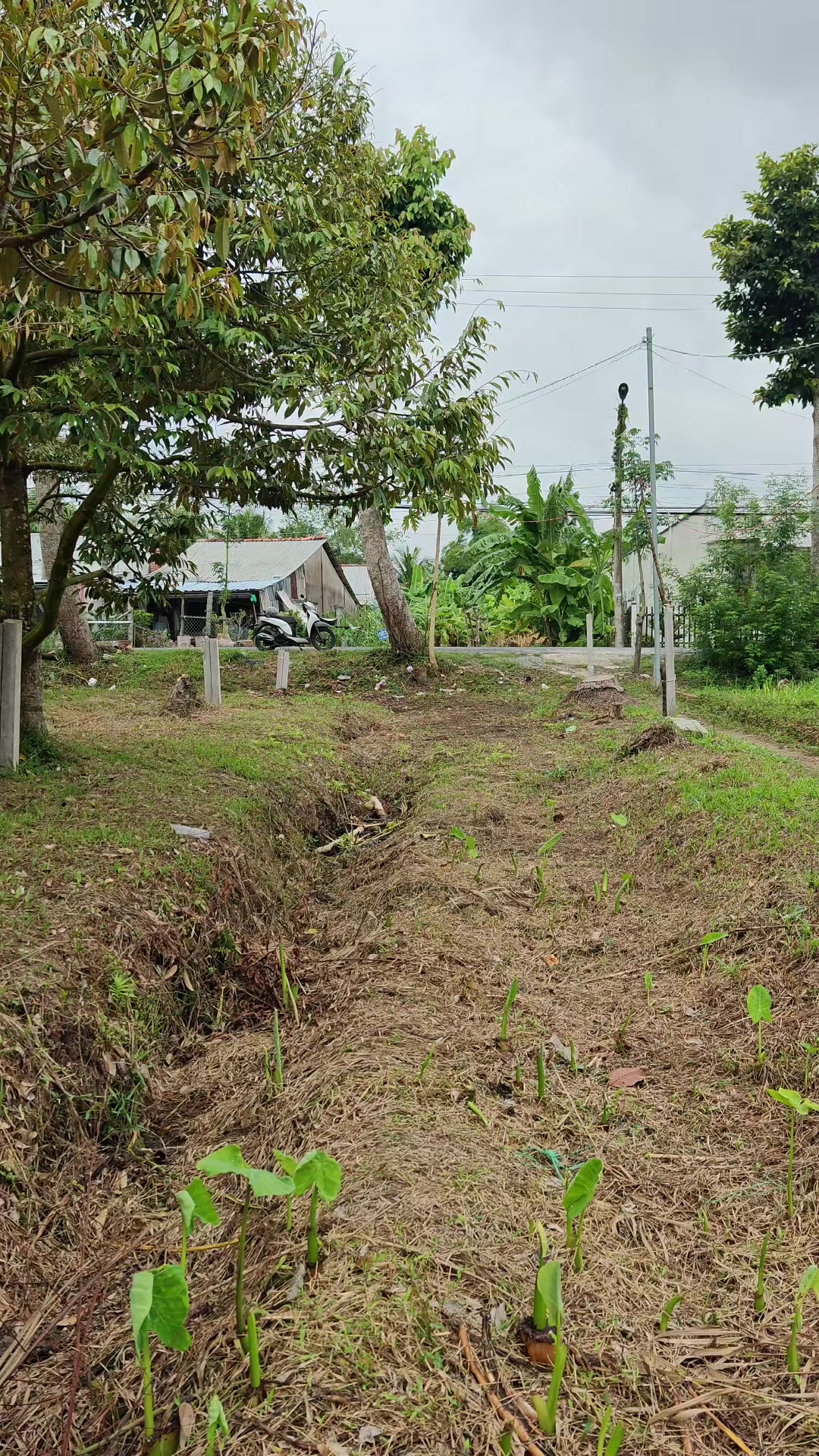 @Bất Động Sản Cần Thơ