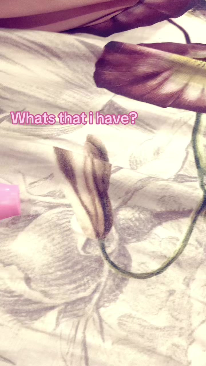 @🪼🐬•̩̩͙✩•̩̩͙𝓳3𝓵𝓵𝔂•̩̩͙✩•🪼