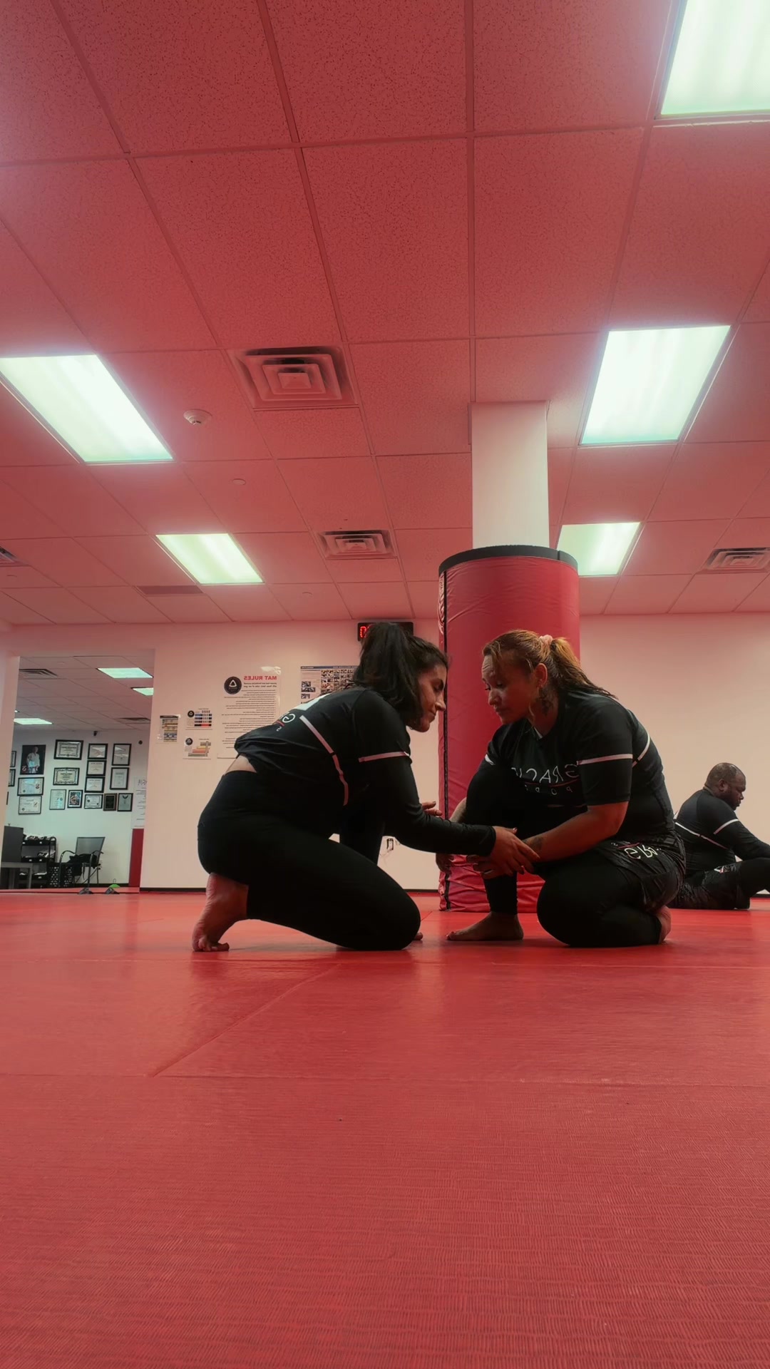 @BJJMOM