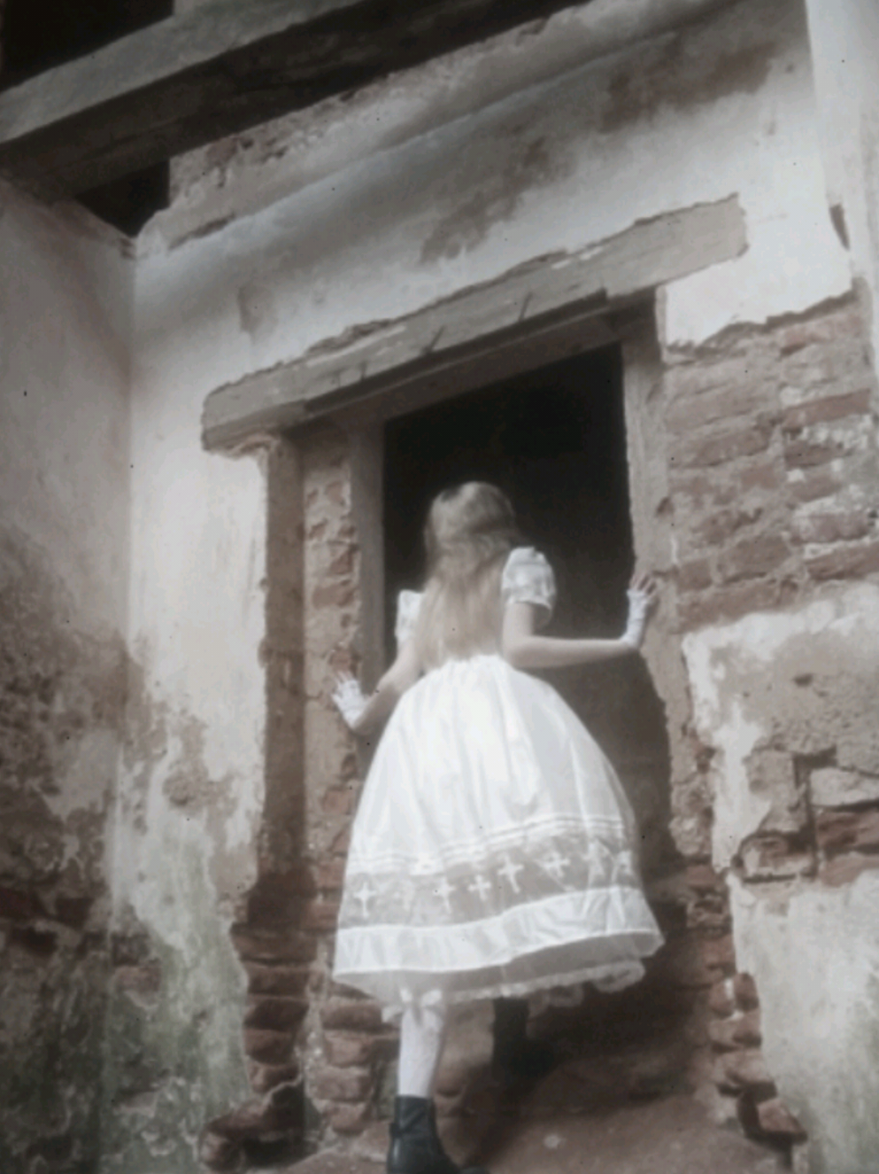 @Ofelia Liddell 🦷🪦🫀