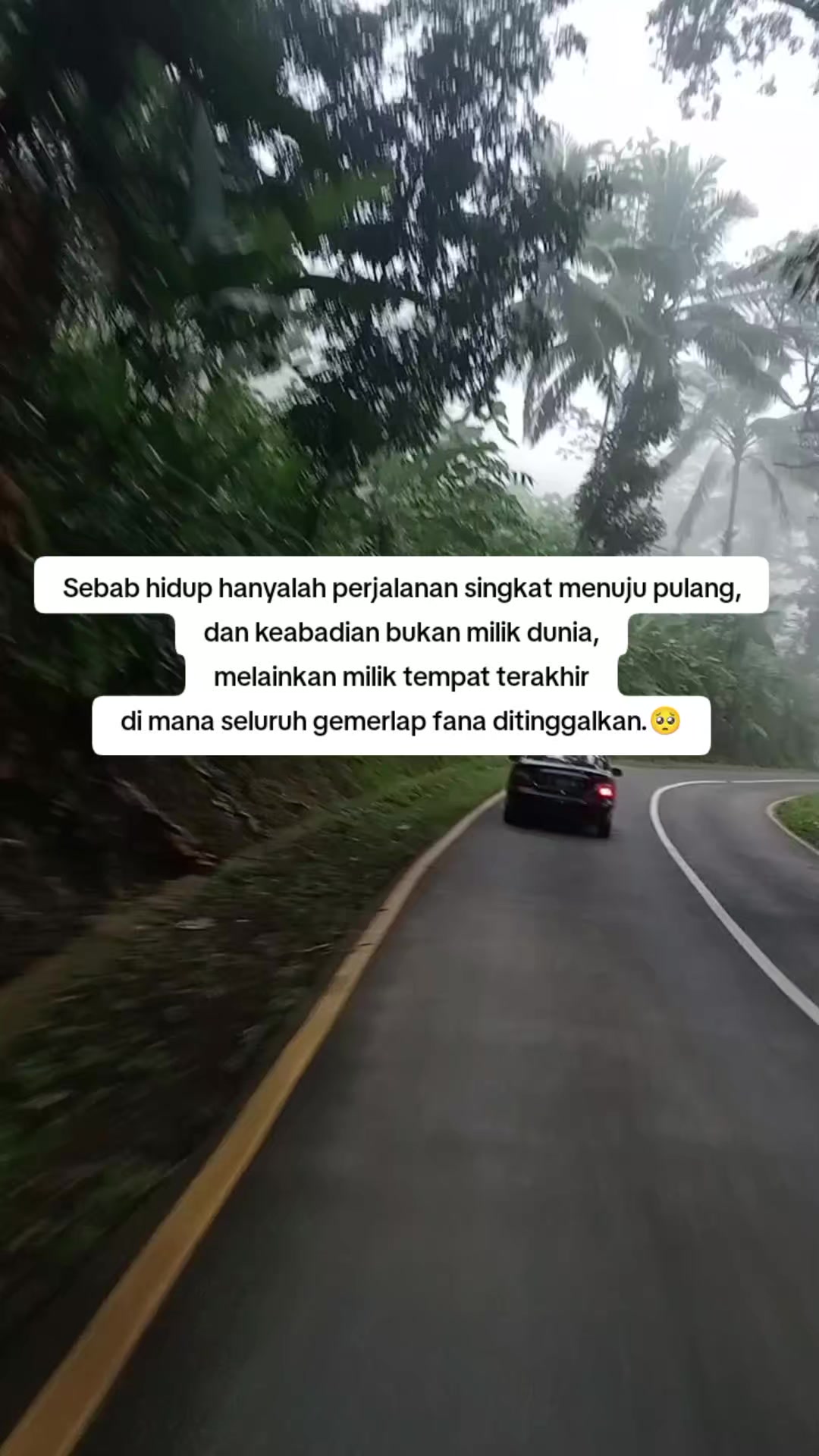@Rizqi