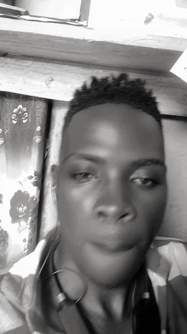 @user288576399953