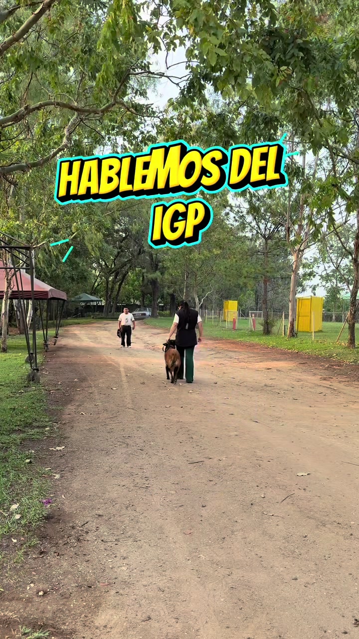 @simon_elmalinois