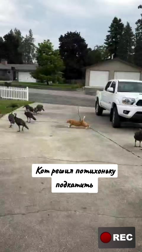 @Лариса