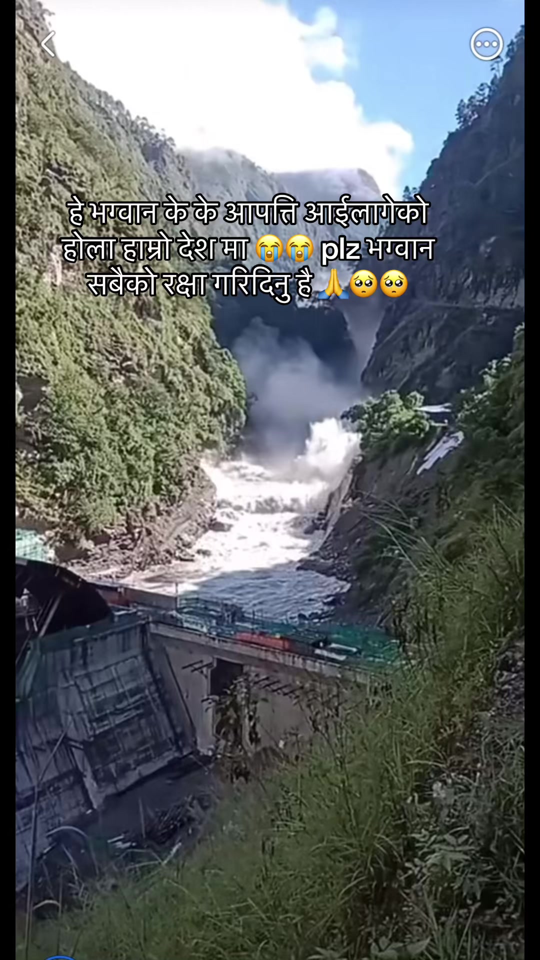 @mayapandey446