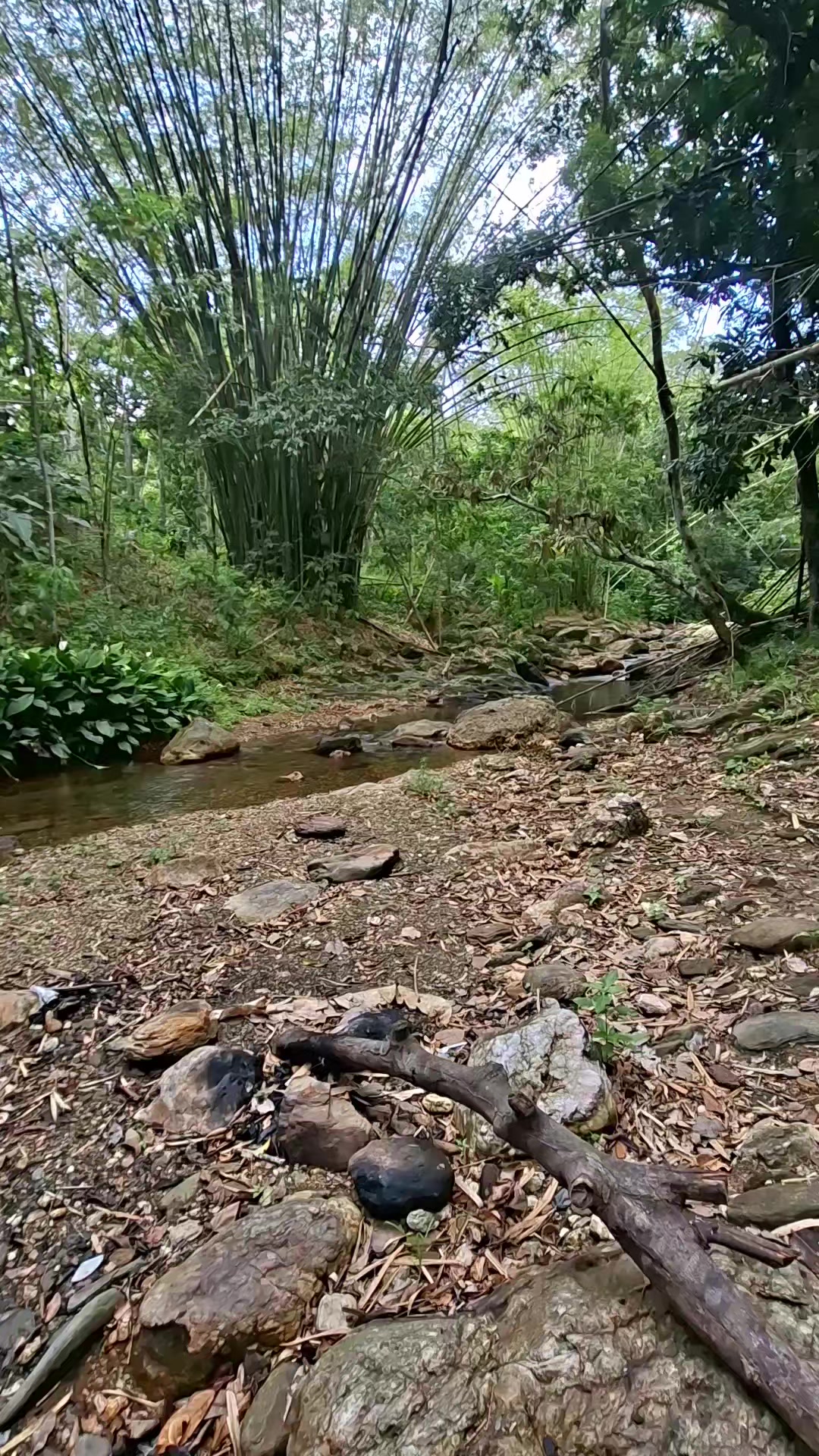 @HikeLife Adventures