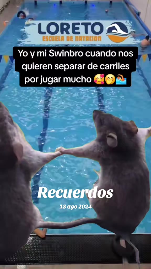 @Escuela de NATACION Loreto