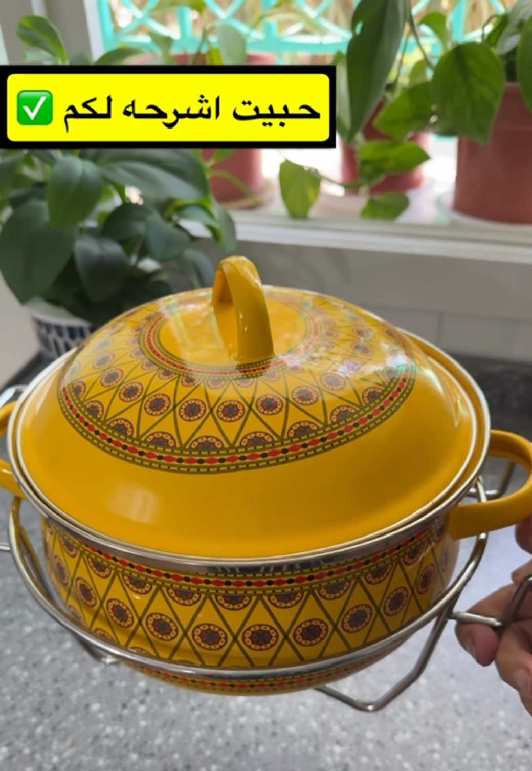 @صولا&ensp;الشهراني   أبها