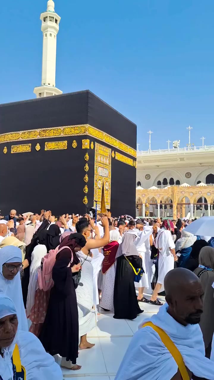 @{🌷امیمہ گلاب🌷}