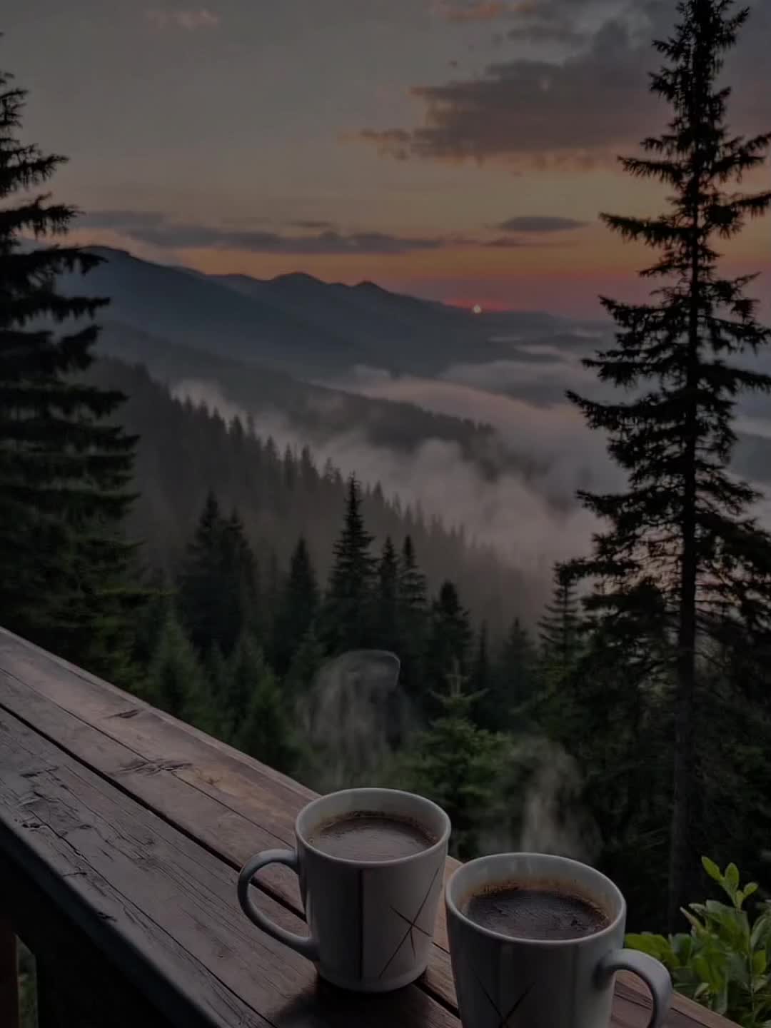 @𝐒𝐨𝐧𝐦𝐢𝐬𝐫𝐚𝐦𝐝𝐚🎶