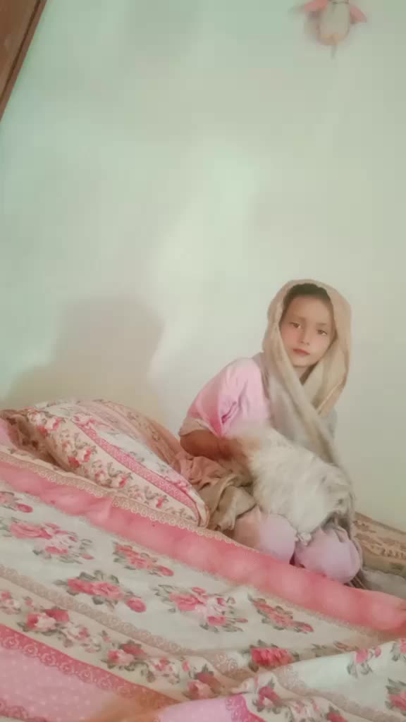 @Zahidjutt
